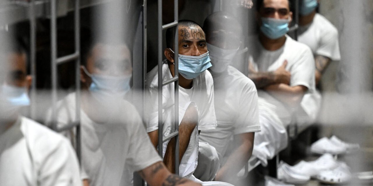 New York and Texas Rulings Curb Deportations of Venezuelans to El Salvador