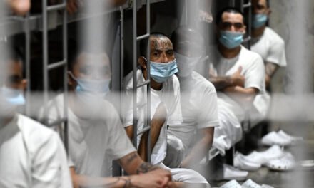 New York and Texas Rulings Curb Deportations of Venezuelans to El Salvador