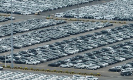 Why Europe Fears a Flood of Cheap Goods From China