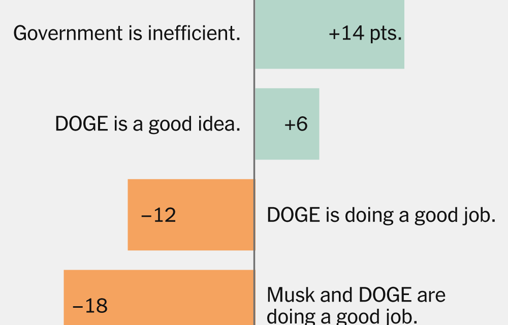 What Polls Say About DOGE and Elon Musk