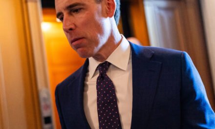 Josh Hawley and the Republican Populists, at War With Their Party