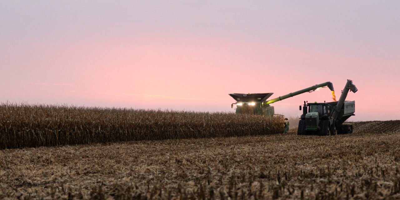 R.F.K. Jr. Has Unlikely Allies in His Drive to Limit Atrazine