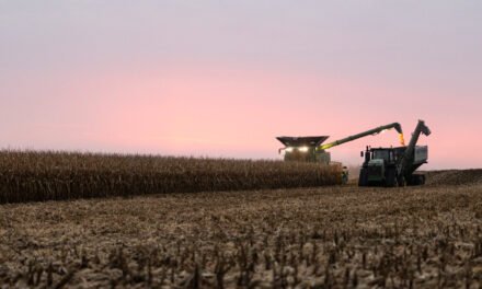 R.F.K. Jr. Has Unlikely Allies in His Drive to Limit Atrazine