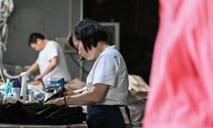 Temu Stops Shipping Products From China to U.S. Customers as Trump Closes Tariff Loophole
