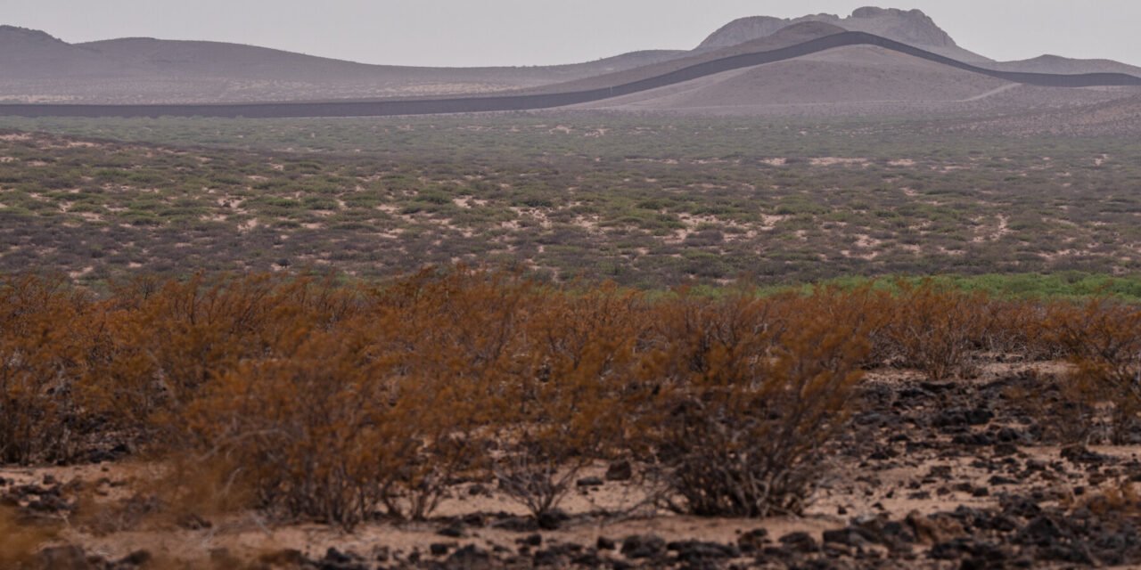 Judge Dismisses ‘Trespassing’ Charges Promoted by Trump in Border ‘Defense Area’