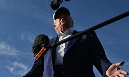 Trump Allies Echo Claims of Political Prosecution to Secure Pardons