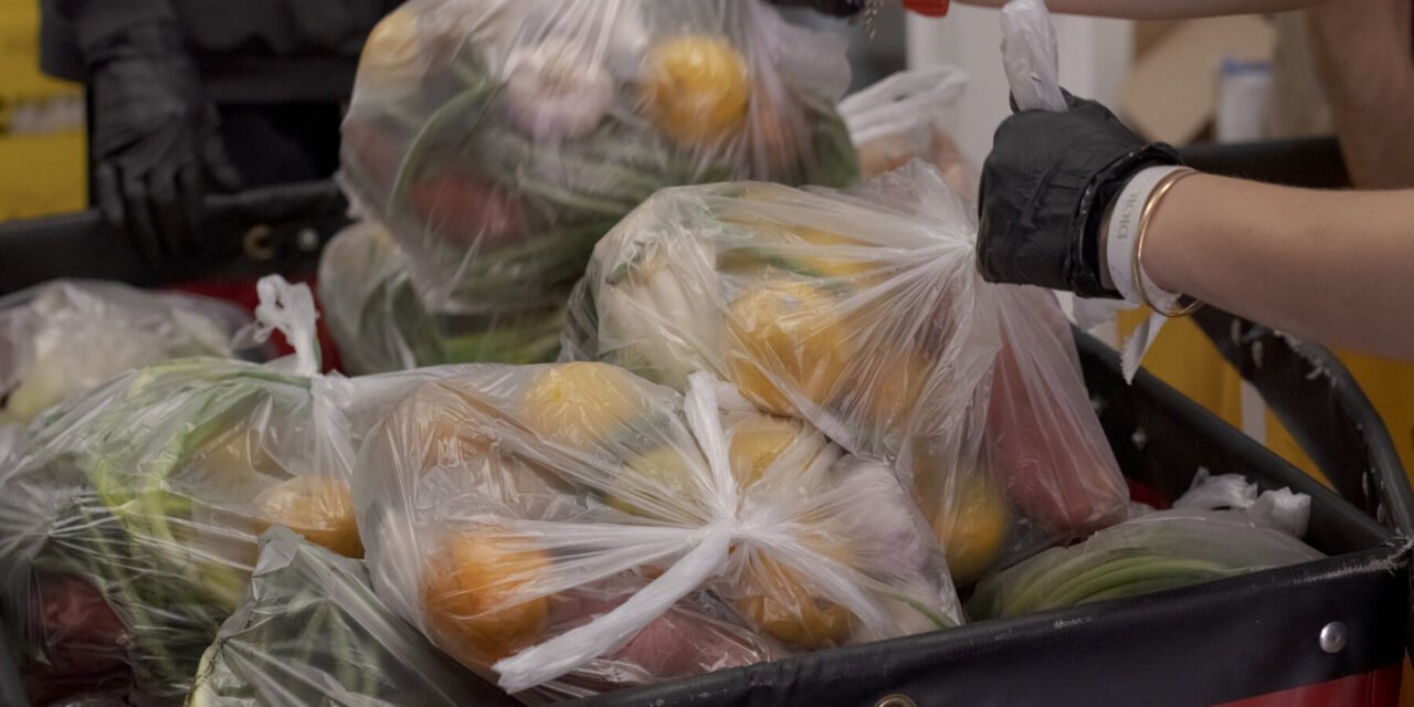 ‘An Existential Threat’: Food Banks Brace for Fallout From Trump Cuts