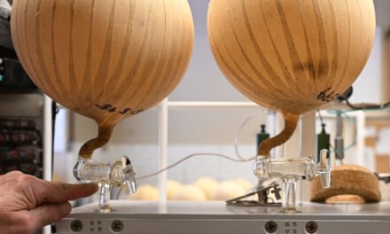 The White House Gutted Science Funding. Now It Wants to ‘Correct’ Research.