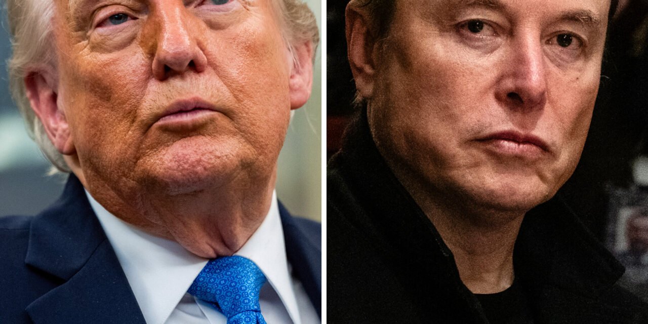 8 Ways Elon Musk and Trump Could Inflict Pain on Each Other