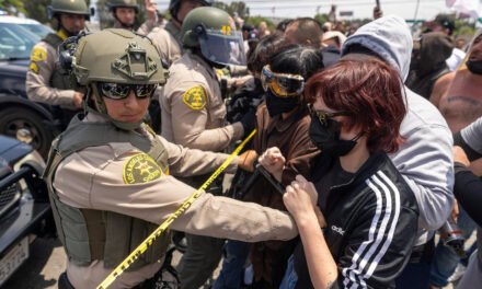 What to Know About the Immigration Protests in Los Angeles
