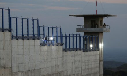 Justice Dept. Seeks to Pause Ruling Ordering Due Process for Deported Venezuelans