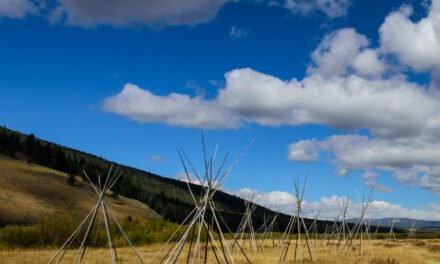 National Parks Are Told to Delete Content That ‘Disparages Americans’