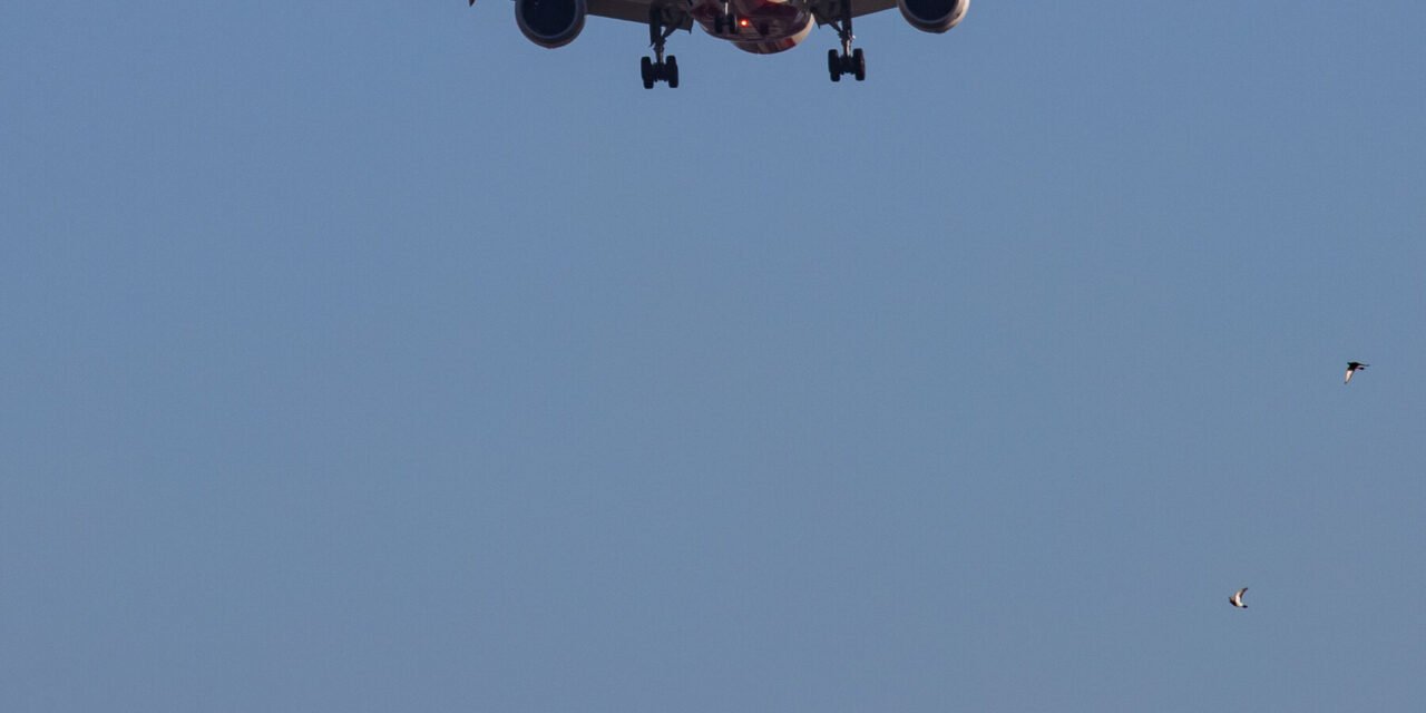 Air India: Is There a Safest Seat in a Plane Crash?