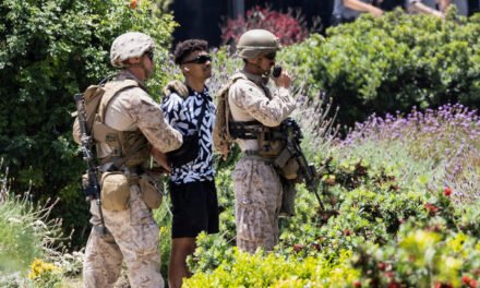 Marines, in a Rare Move, Briefly Detain Man in Los Angeles