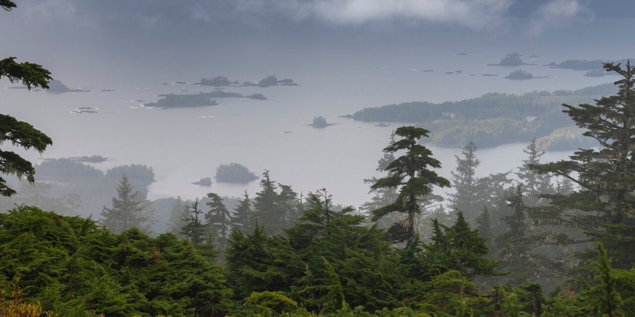 Trump Administration to End Protections for 58 Million Acres of National Forests