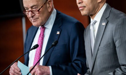 As Donors Work Against Mamdani, Top Democrats Stop Short of Backing Him