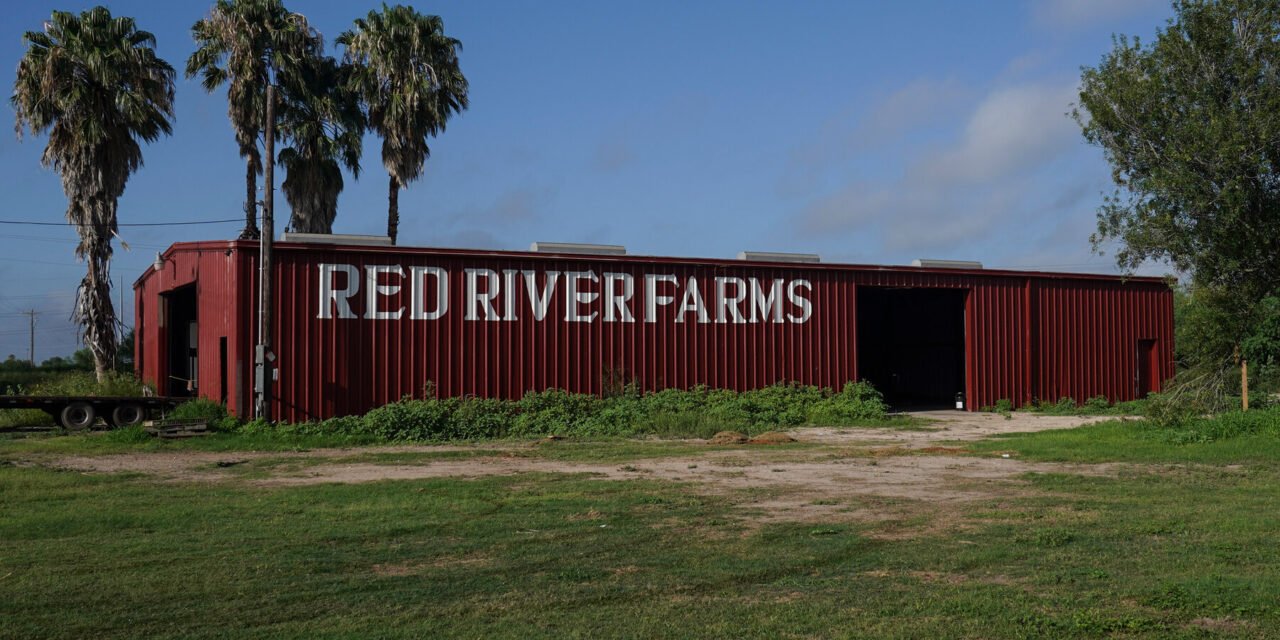 On a Quiet Southern Border, Empty Farms and Frightened Workers