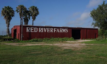 On a Quiet Southern Border, Empty Farms and Frightened Workers