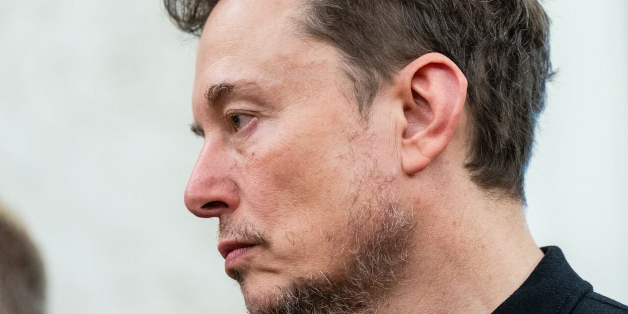 Musk Wades Back Into Politics, Slamming Trump’s Domestic Policy Bill