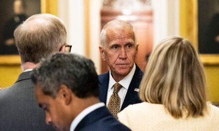 Thom Tillis, Republican Senator, Won’t Seek Re-election Amid Trump’s Primary Threats