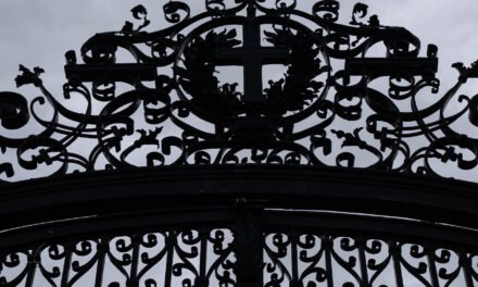 Behind Closed Doors, Harvard Officials Debate a Risky Truce With Trump