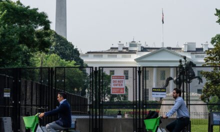 In an Anxious Moment for the Nation, Historians Say This One Is Different