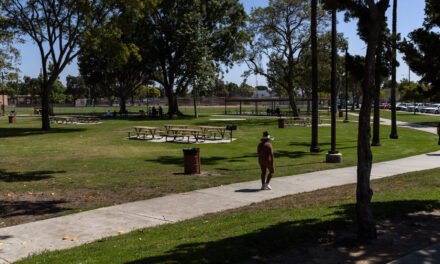 Around Los Angeles, ICE Raids Are Casting a Shadow on July 4th Plans