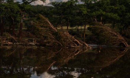 Texas Flooding Shows the Dangers Posed by Hill Country Rivers
