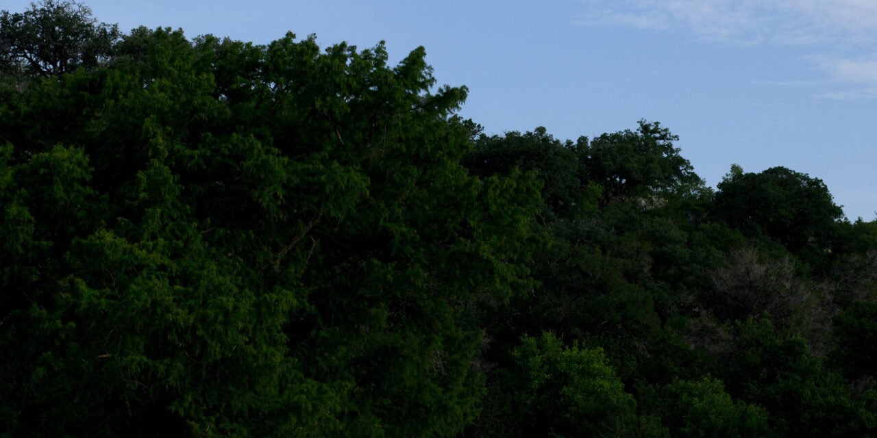 Before the Central Texas Floods, the Owners of Camp Mystic Were a Fixture