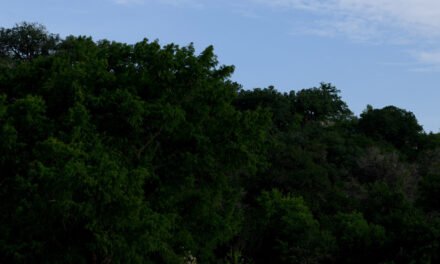 Before the Central Texas Floods, the Owners of Camp Mystic Were a Fixture