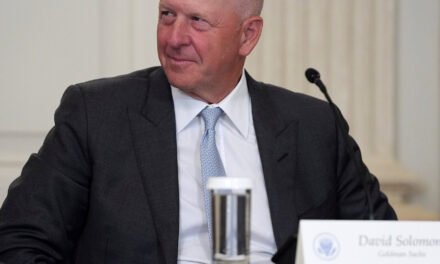 Goldman Sachs Sets Series of Records on Tariff Swings