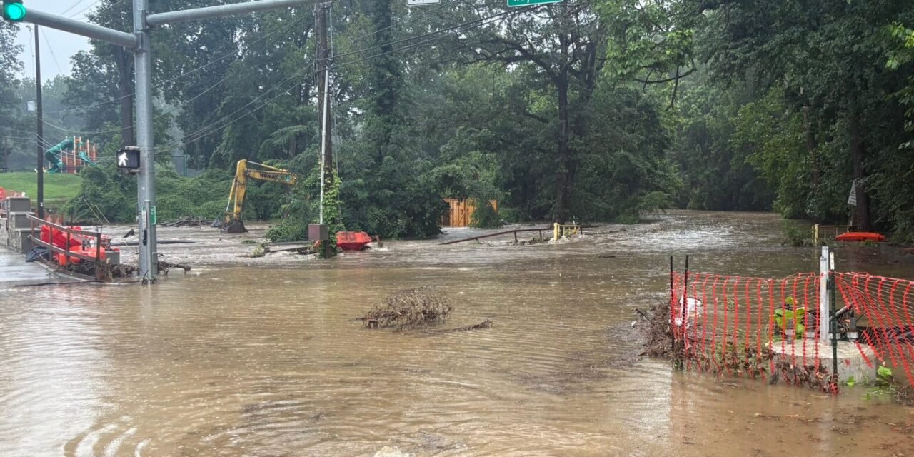 Heavy Rains in Washington Area Flood Roads and Prompt Water Rescues