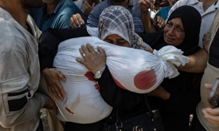 2 Deadly Shootings in 2 Days Highlight Dangers of Aid Distribution in Gaza