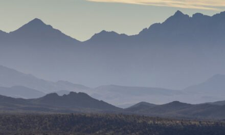 Controversial Interior Department Aide From DOGE to Leave Agency
