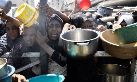 Israel Says It Has Paused Some Military Activity in Gaza as Anger Grows Over Hunger
