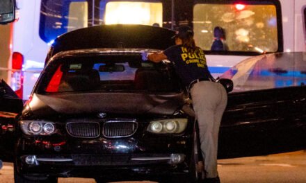 N.Y.C. Mass Shooting Was Nearly Impossible to Prevent, Experts Say