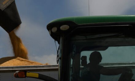 Trump’s Tax Bill Expands Farm Subsidies. Not All Farmers Will Benefit.
