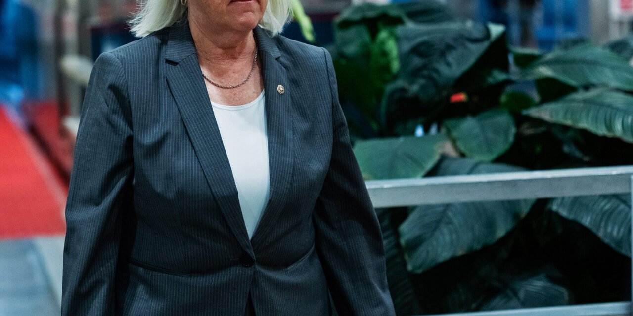 Fed Up With Netanyahu and Handling of Gaza War, Democrats Rebuke Israel