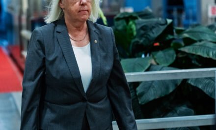 Fed Up With Netanyahu and Handling of Gaza War, Democrats Rebuke Israel