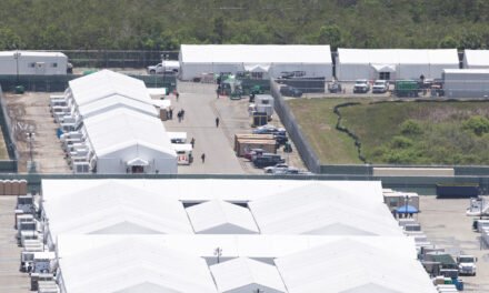 Judge Orders Halt to Construction at Florida’s ‘Alligator Alcatraz’
