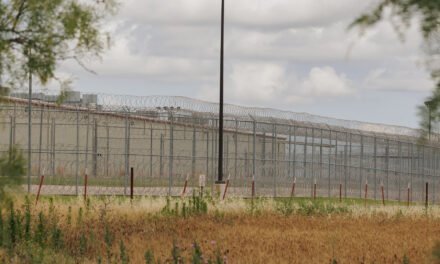 Over 60,000 Are in Immigration Detention, a Modern High, Records Show