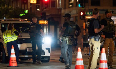 The Politics of Crime Are Perilous for Left and Right Alike