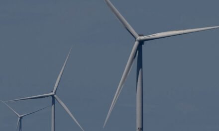 Transportation Dept. Cancels $679 Million for Offshore Wind Projects